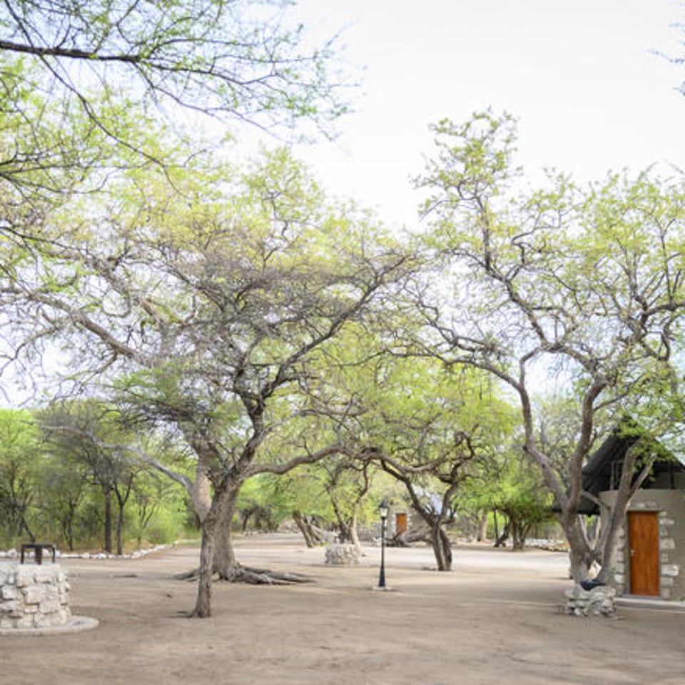 Onguma Leadwood Campsite
