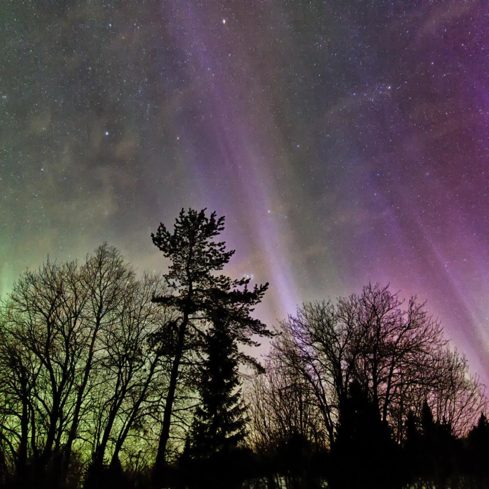 Intensives Polarlicht