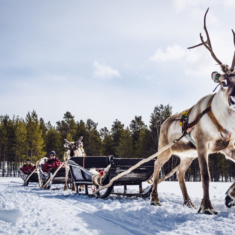Familien-Tour Lappland