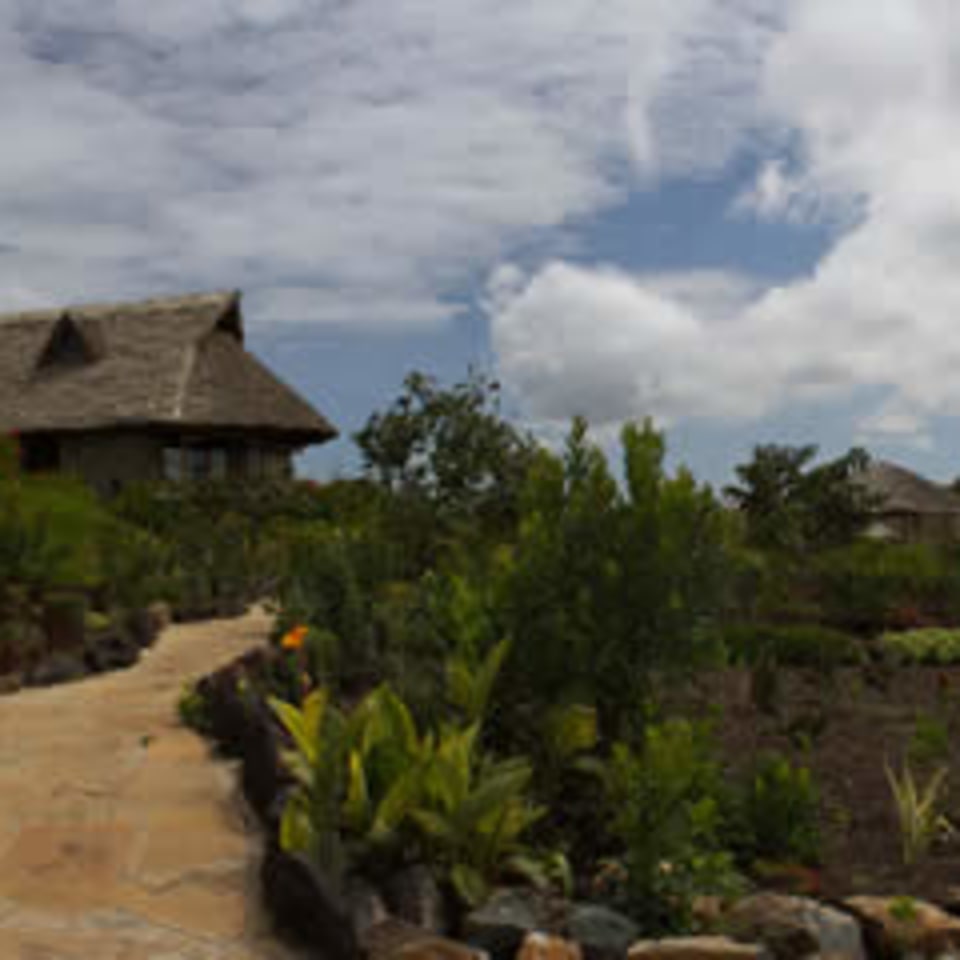 rhino-watch-anlage.jfif