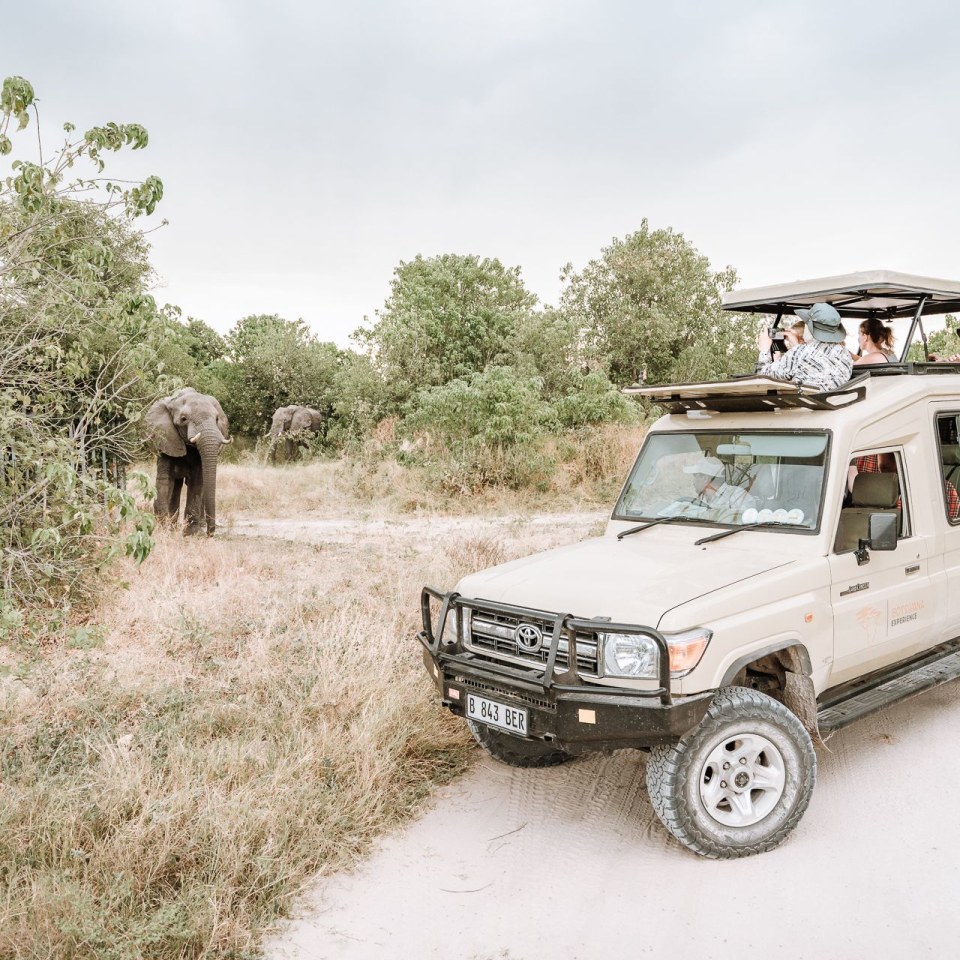 Gruppensafari von Maun an die Viktoriafälle