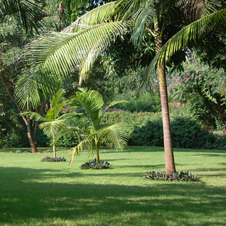 sal-salinero-hotel-garten.jpg
