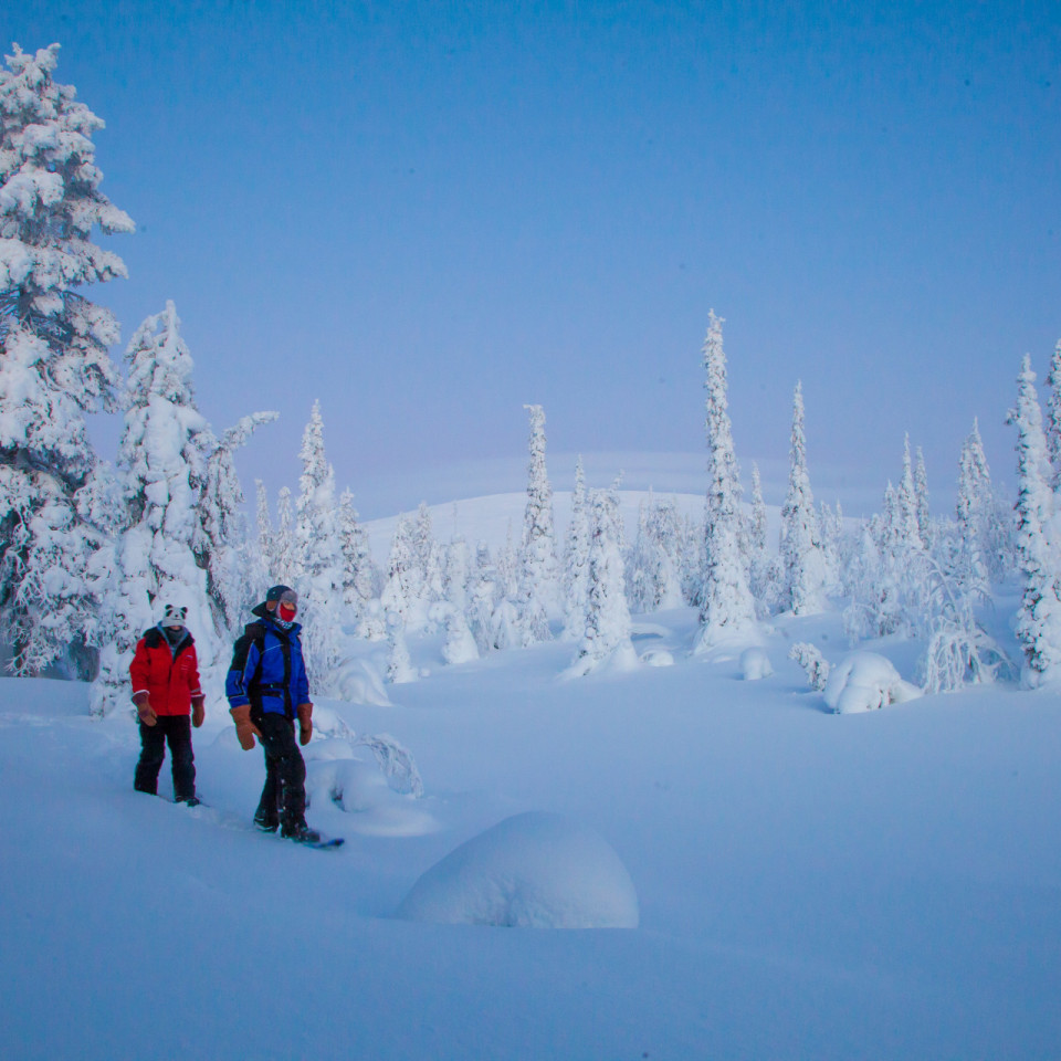 Schneeschuhwanderung im verschneiten Finnland