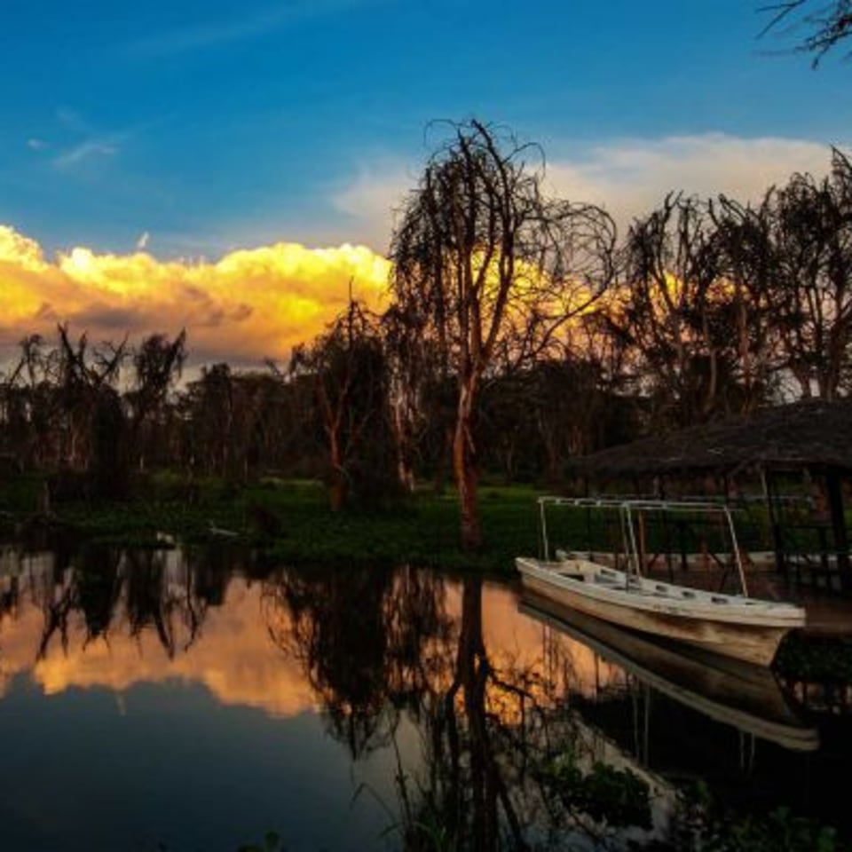 Abendstimmung am Lake Nakuru