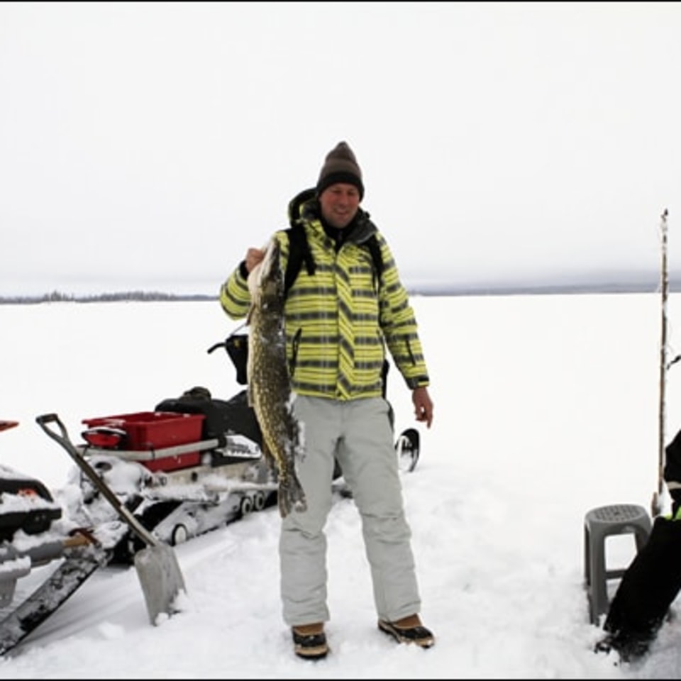 Pause bei einer Hundeschlittentour