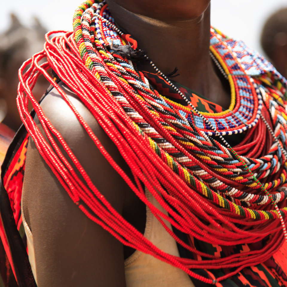 In Kleingruppe durch Tansanias berühmte Safariparks 