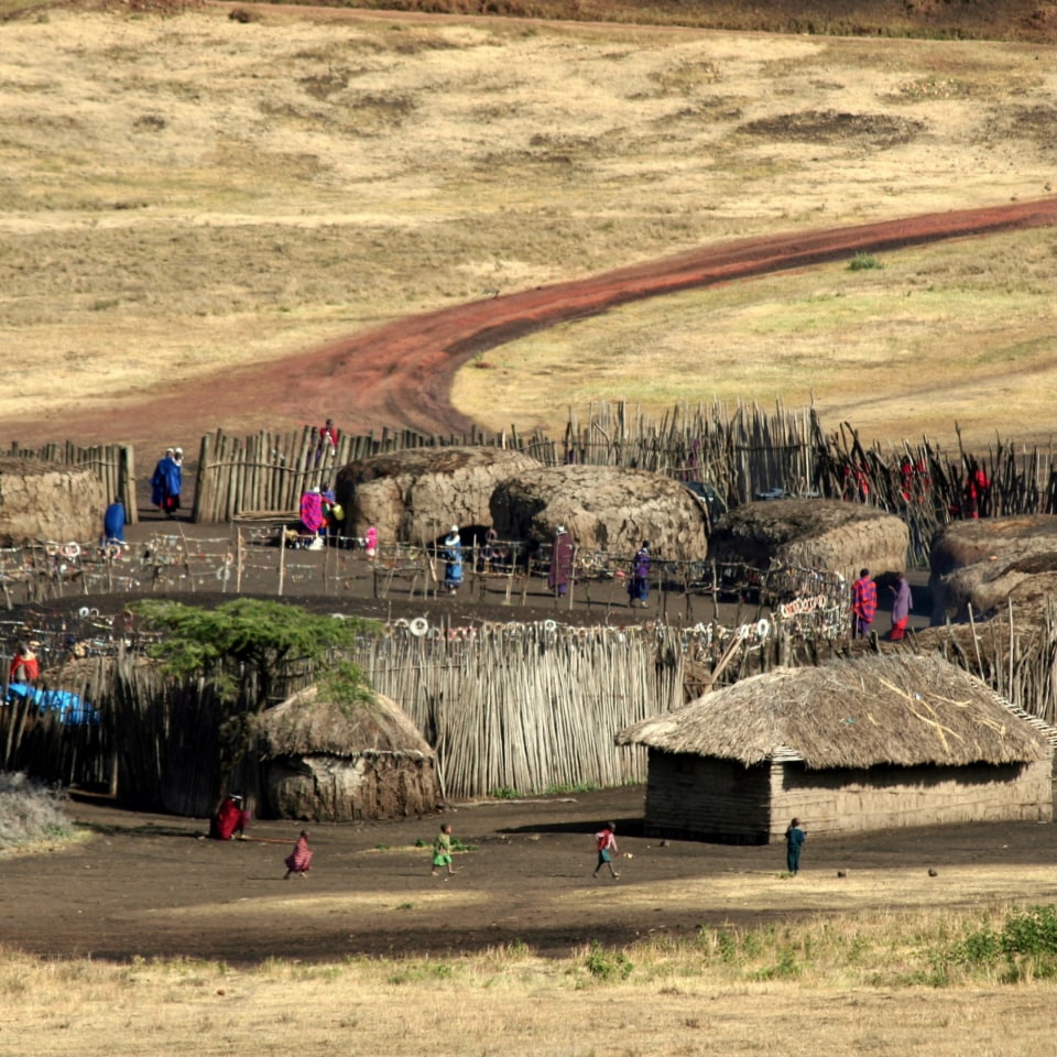 In Kleingruppe durch Tansanias berühmte Safariparks 