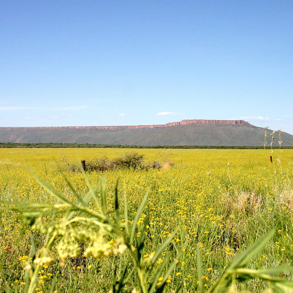 Waterberg Wilderness Lodge