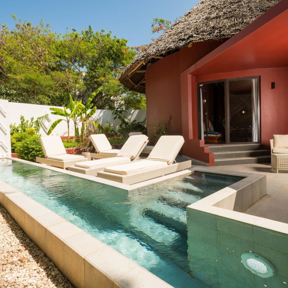 GOLD ZANZIBAR by Cocoon Collection