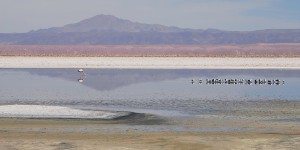 Salar-Atacama