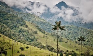 Cocora-tal