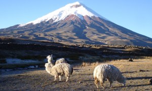 Cotopaxi Ecuador