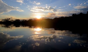 Cuyabeno Lodge Sonnenuntergang