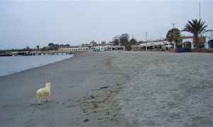 Paracas-Strand.jpg