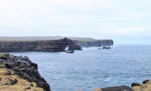 Suarez Point Española Galapagos