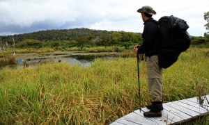 chiloe-tantauco-wanderung-weg