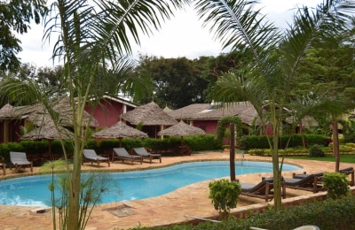 Cool am Pool in Tansania