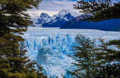 Blick durch die Bäume auf den Perito Moreno