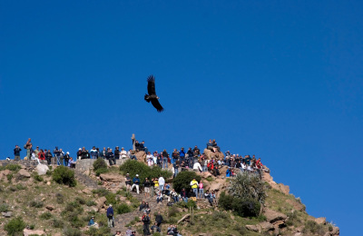 Cruz del Condor.jpeg