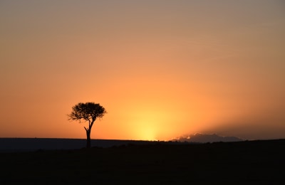 Kwaheri Serengeti