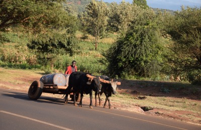 Strasse nach Arusha