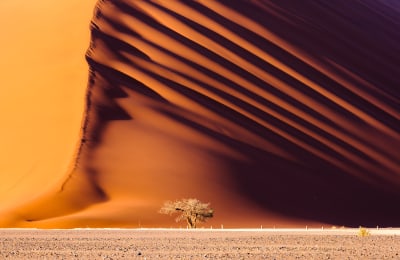 Dune_45_Namib_Desert_meinewelt-reisen.jpeg