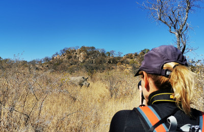 Nashorn Tracking im Matobo Nationalpark_meinwelt-reisen