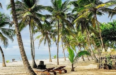 coconut-beach-lodge.jpg