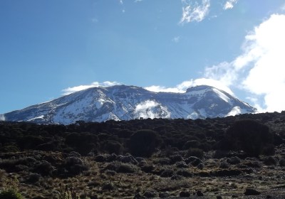 Tansania Safari Kilimanjaro Machame Route Aussicht Shira