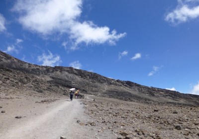 Tansania Kilimanjaro Trekking Machame Route steiniger Trekkingweg