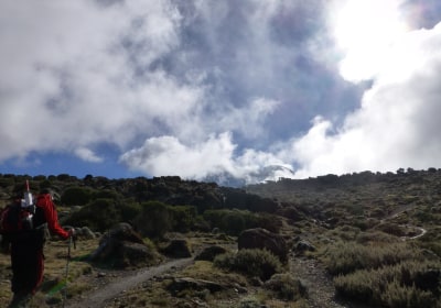 Tansania Safari Kilimanjaro Machame Route Trekking