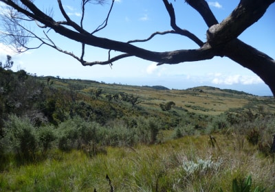 Tansania Safari Kilimanjaro Marangu Route