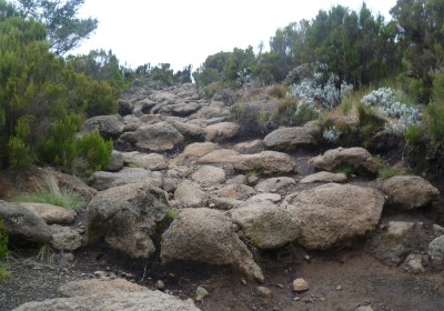 Wanderung auf den Kilimandscharo Marangu Route Steiniger Pfad Wanderung auf den Kilimandscharo Marangu Route Steiniger Pfad