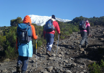 Tansania Safari Kilimanjaro Marangu Route von Horombo nach Kibo