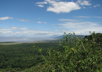 Tansania Hochzeitsreise Lake Manyara Blick auf See