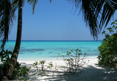 Tansania Hochzeitsreise Sansibar Strand