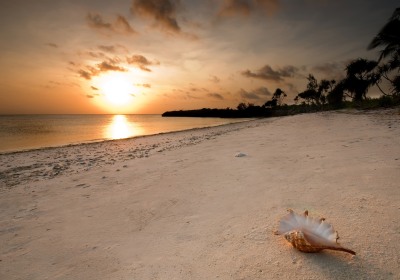 Tansania Hochzeitsreise Sansibar Strand Dolphin View Paradise