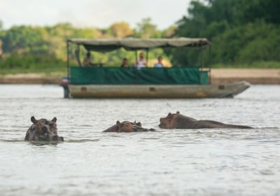 Tansania_Safari_Selous_Game_Reserve_Boot_auf_Fluss_Vordergrund_Nilpferde_02_Selous_River_Camp
