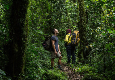 Uganda Trekking Ruwenzori Wanderer im Wald