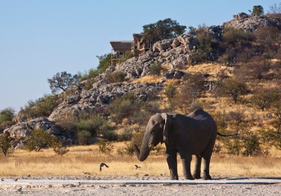 Namibia Sossusvlei Rundreise Etosha Dolomite Camp Elefant