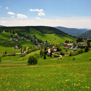 Landschaft im Schwarzwald_123RF_71074921_m.jpg