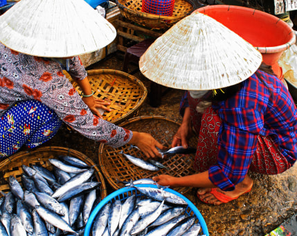 Hoi an_Markt©Psop Photo_AdobeStock_1668870.jpg