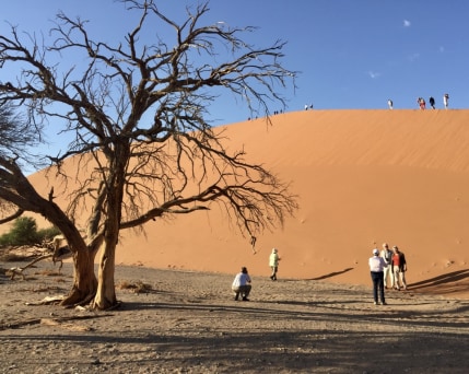 Namibia_Namib+SPD_Gruppe