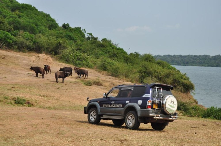 8 mburo nationalpark c50f7c74 83b8 4035 82dd 28299a7476f4