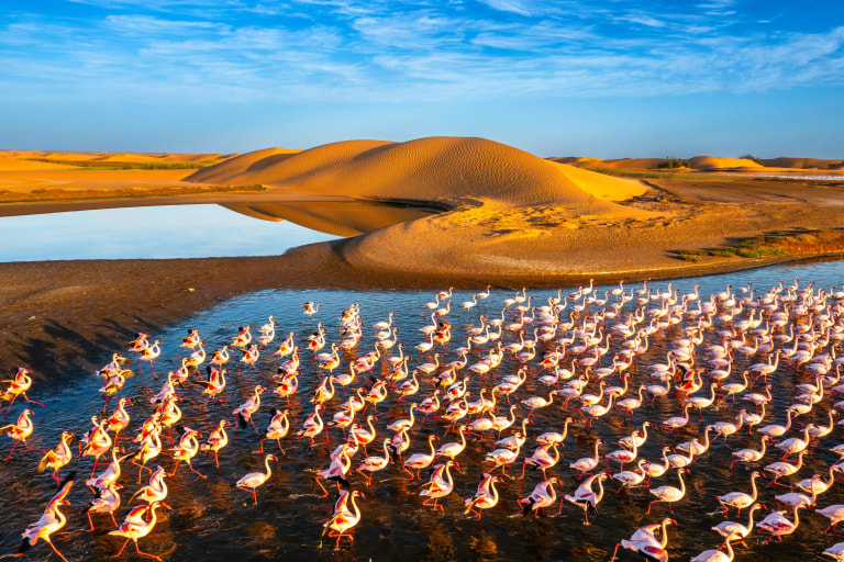 Desert%20scenery%20with%20saltwater%20lagoons%20full%20of%20flamingos