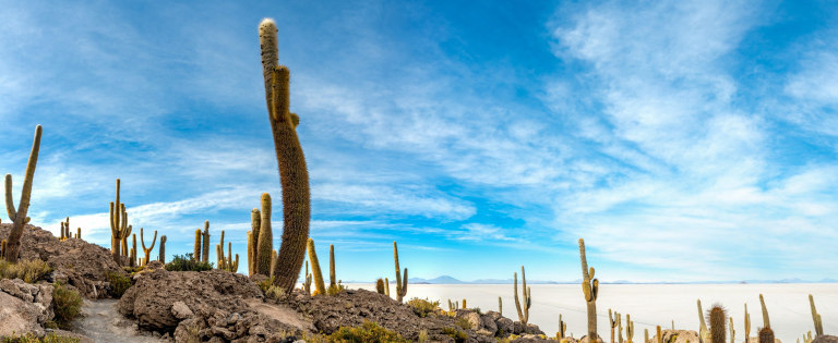 Salar%20de%20Uyuni%20Isla%20Incahuasi a96bef20 41b5 4412 ae6e 5219d9413eb1