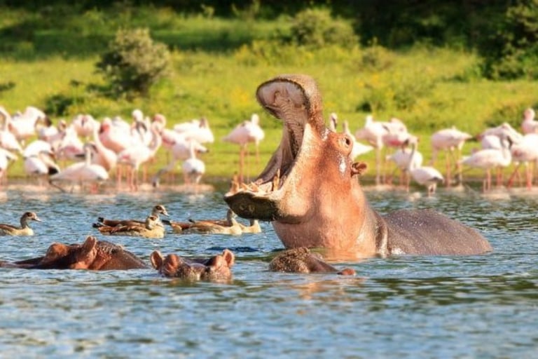 day trip to hells gate and lake naivasha from nairobi tour 2 28901 0 20410988 964b 48be 9a87 39707caf0c85