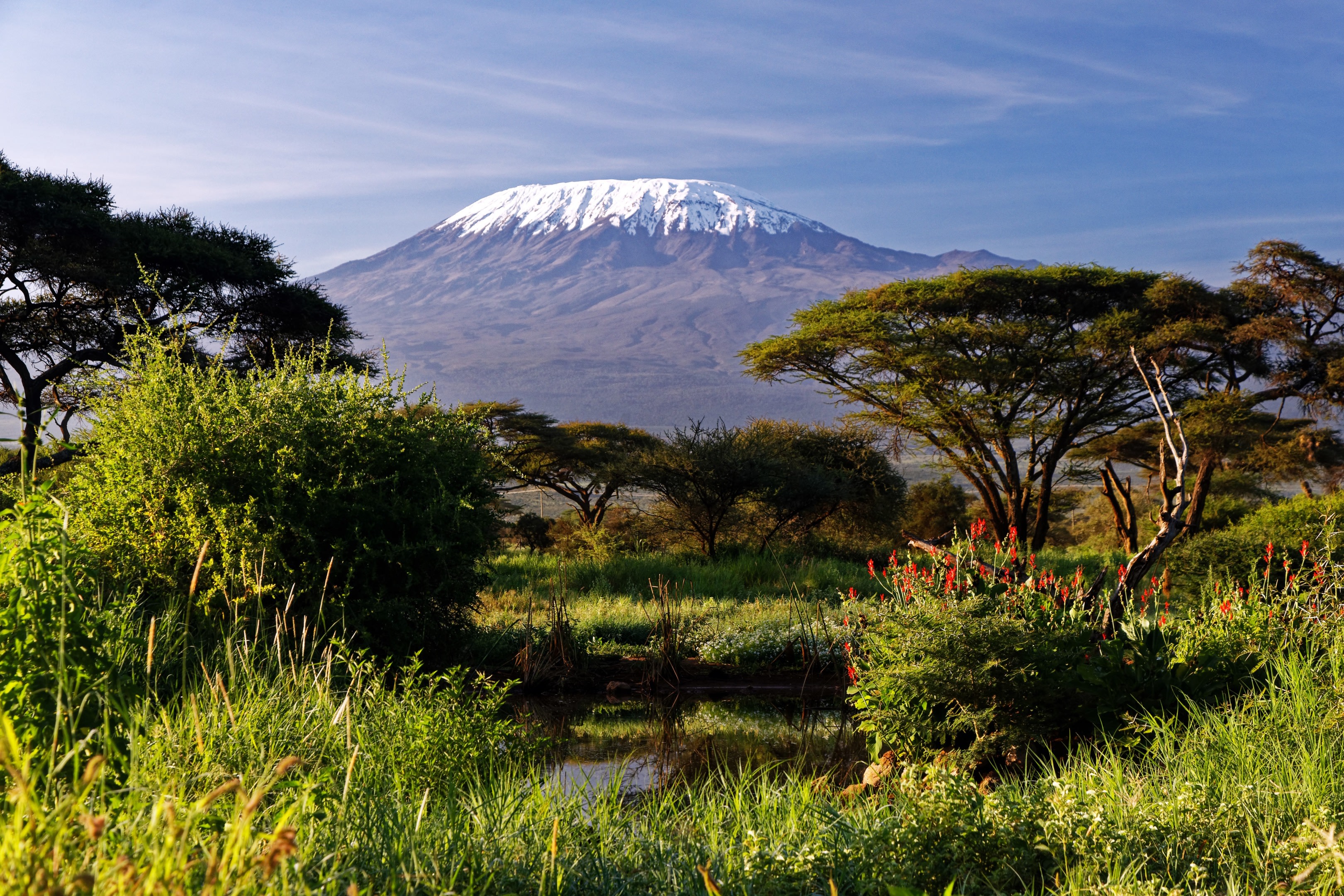 Kilimanjaro%20Nothern%20Circuit 1b937ba6 a547 4b0f a231 3be7efd9207c