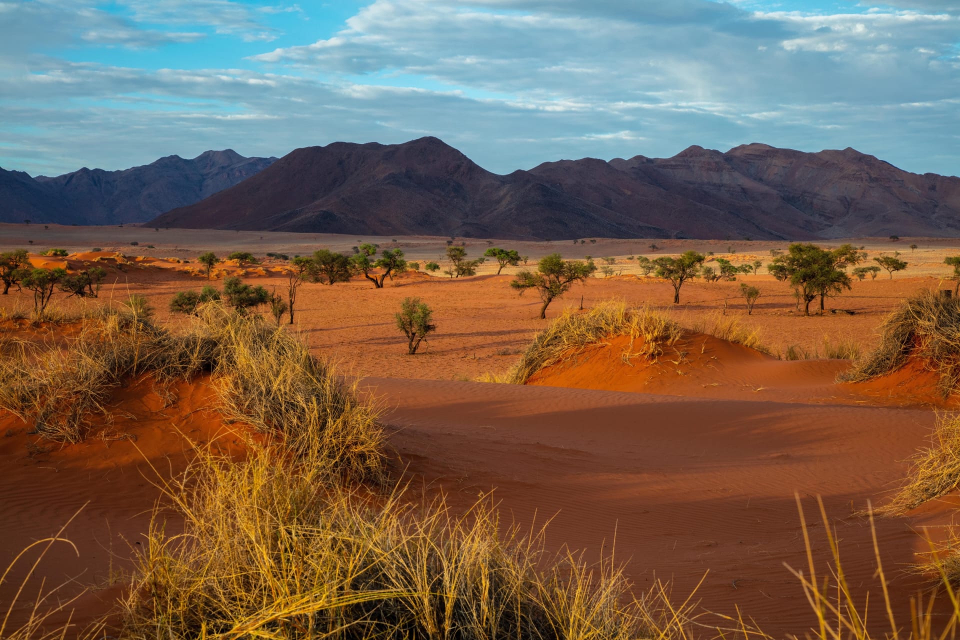Erlebnisrundreise durch Namibia