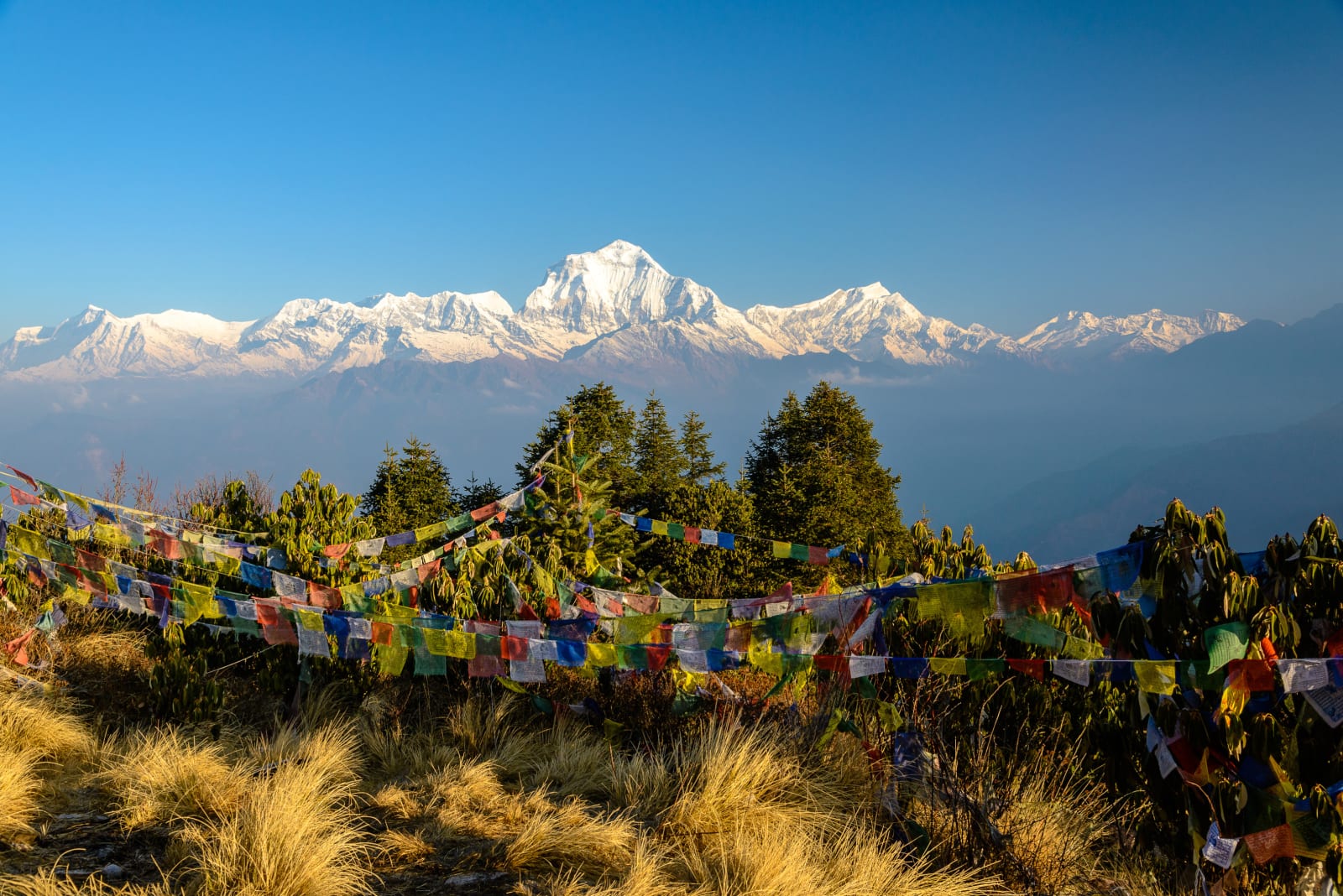 Poon Hill Blick auf Dhaulagiri